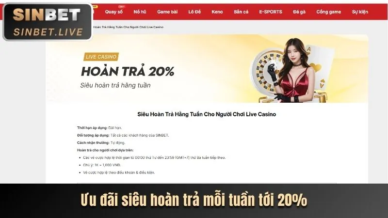 Hoàn trả hàng tuần cho cá cược thể thao